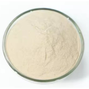 China Factory-Made Food Additives Emulsifier Pectin Stabilizer Thickener at Factory Price
