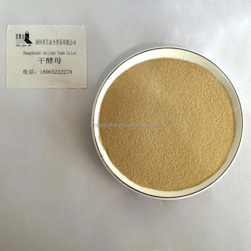 High-Activity Professional Dry Yeast Powder Nice Price Rapid-Rise Yeast from Active Manufacture