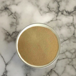 High-Activity Dry Yeast for Bread Baking and Sugar Fermentation Factory Supplied at Fascinating Price Powder Form