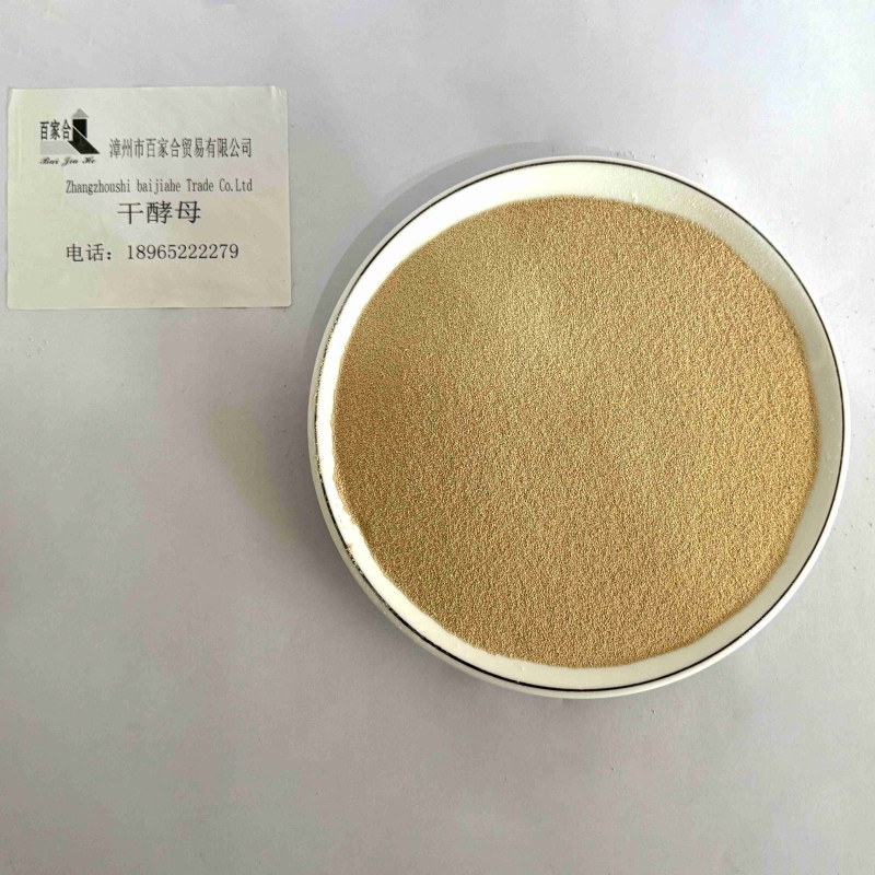 Factory Supply Fascinating Price Anti-Freeze Home Baking Dry Yeast Long Shelf Life Powder Easy to Use