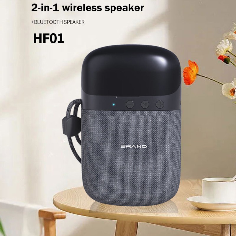 Headphone Speaker Supplier - OEM Wireless 2-in-1 BT Earphones