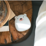 Hand warmer power bank