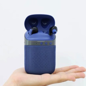 Wireless Earphone Factory - OEM 2-in-1 BT In-ear HiFi Speaker