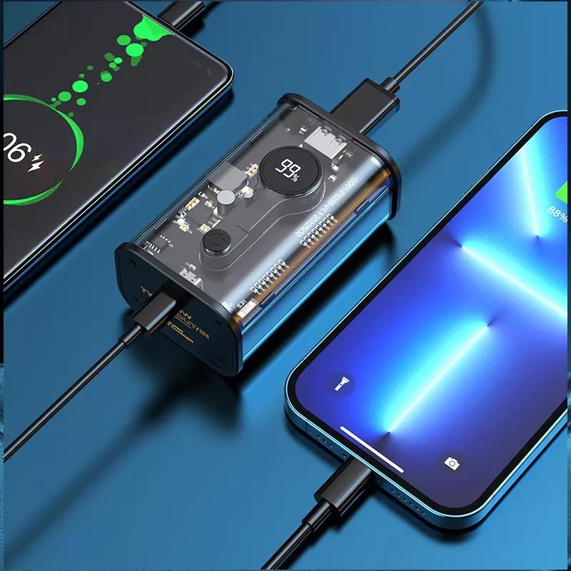 Power Bank Supplier - OEM Transparent 10000mAh USB Type C