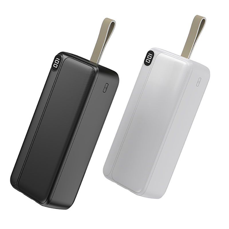 Power Bank Factory - OEM Dual Output 20000mAh Mobile Charger