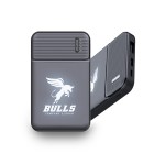 New Light Up Logo Power Bank