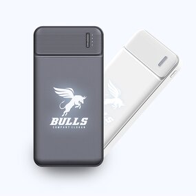 Power Bank Manufacturer - Custom Logo 10000mAh OEM