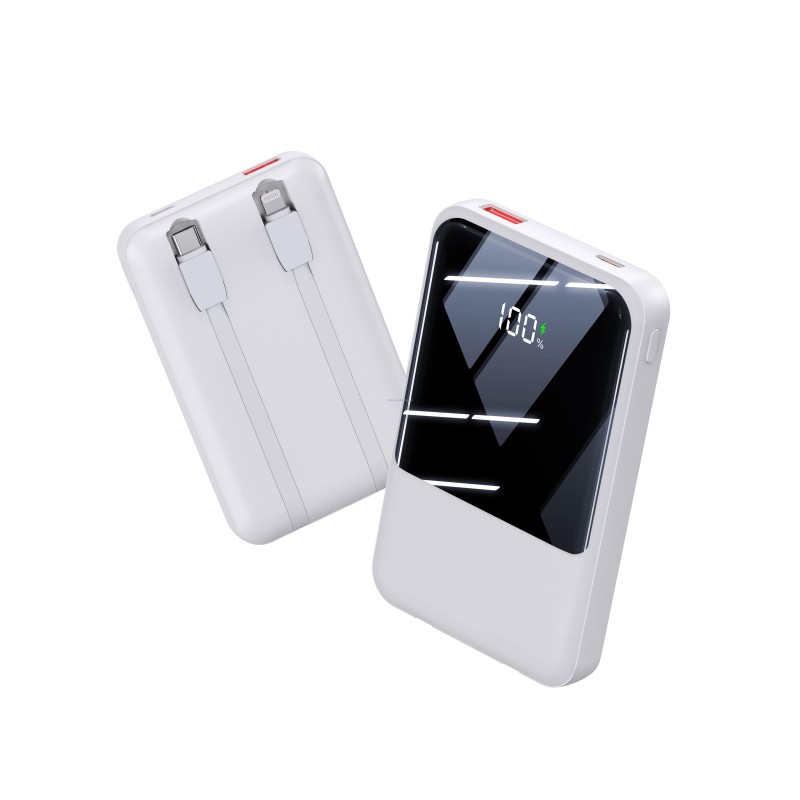 Power Bank Factory - 22.5W 100000mAh 2 in 1 Cable