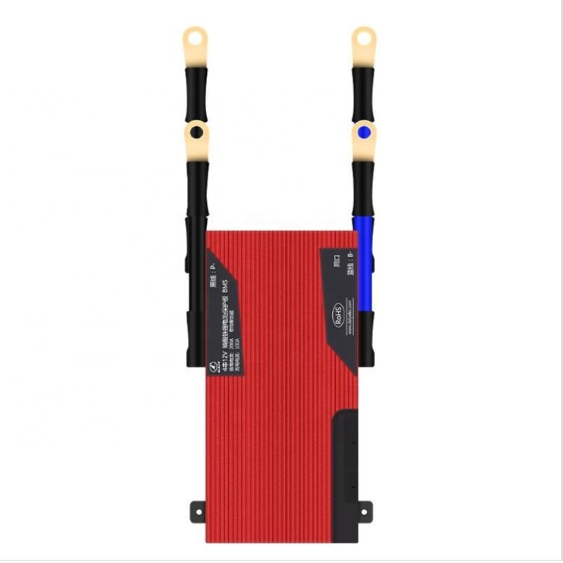 Daly BMS Supplier - OEM 12V Lifepo4 4S 100A with Balance