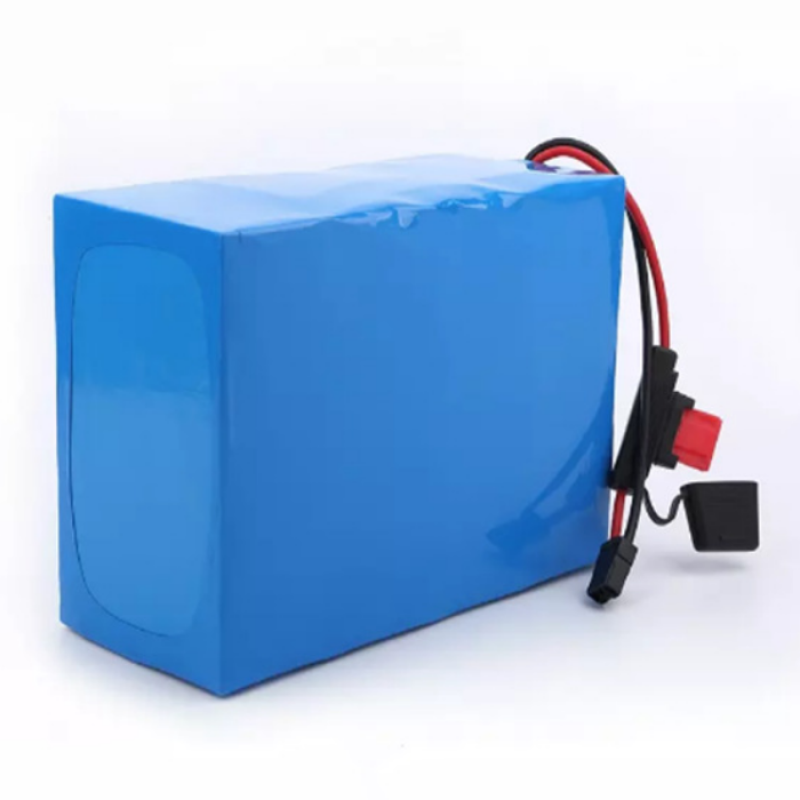Lithium Battery Pack Supplier - OEM 24V 18650 E-bike Power