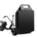 electric bicycle battery and scooter battery