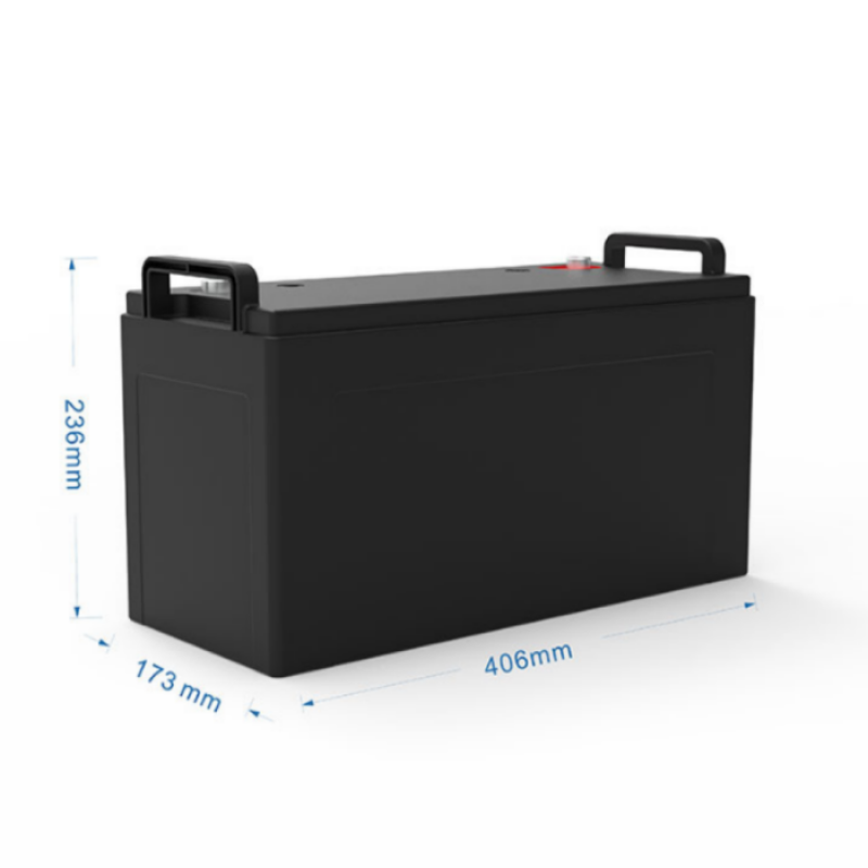 Lifepo4 Battery Manufacturer - OEM 12V100AH RV Storage Battery