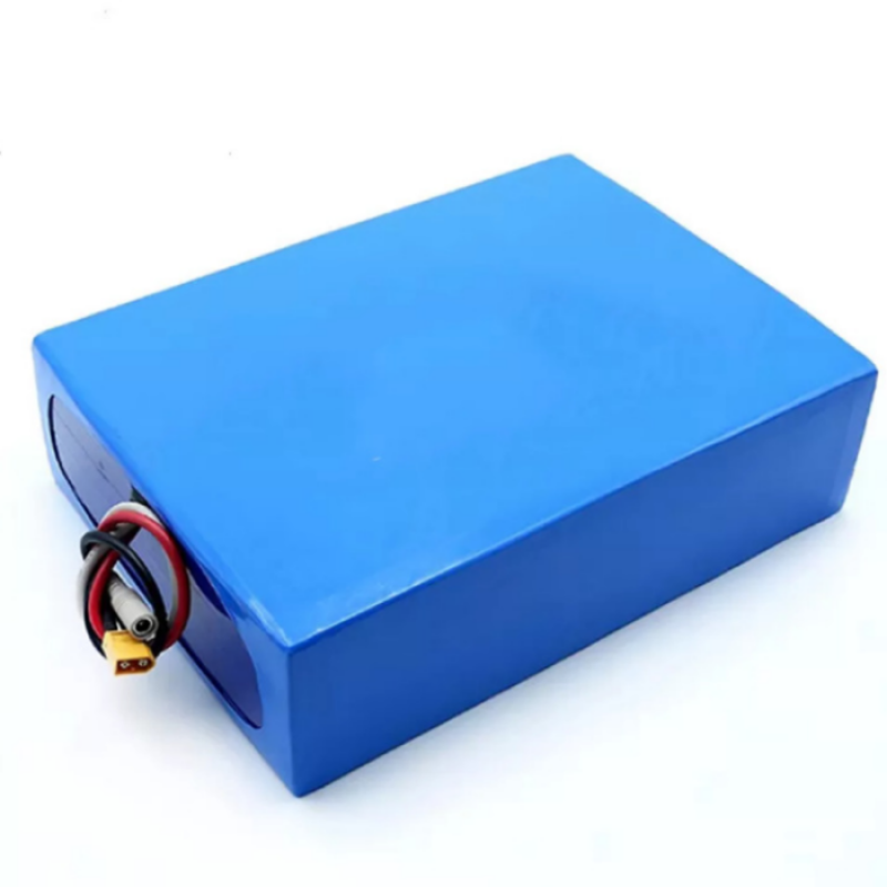 Lithium Battery Pack Supplier - OEM 24V 18650 E-bike Power