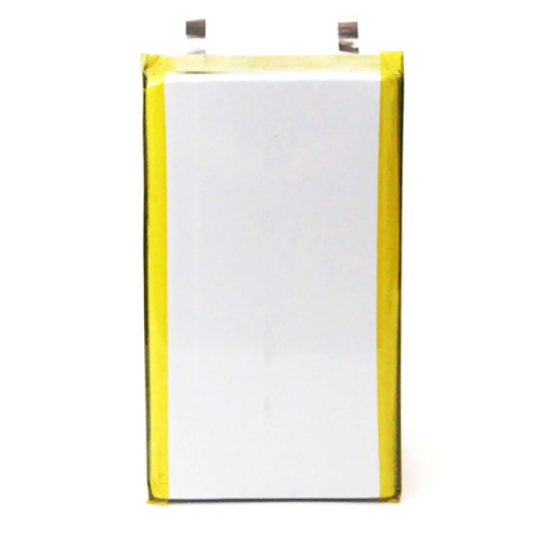 LiFePO4 Battery Manufacturer - OEM 9065113 10000mAh Power Bank
