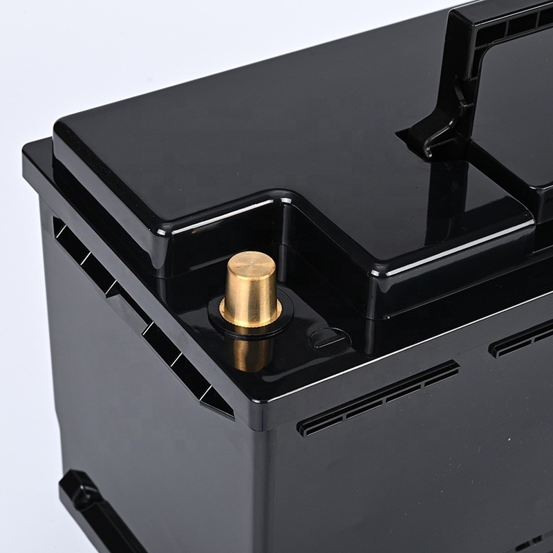 Battery Case Manufacturer - OEM 12V 100Ah Empty Casing