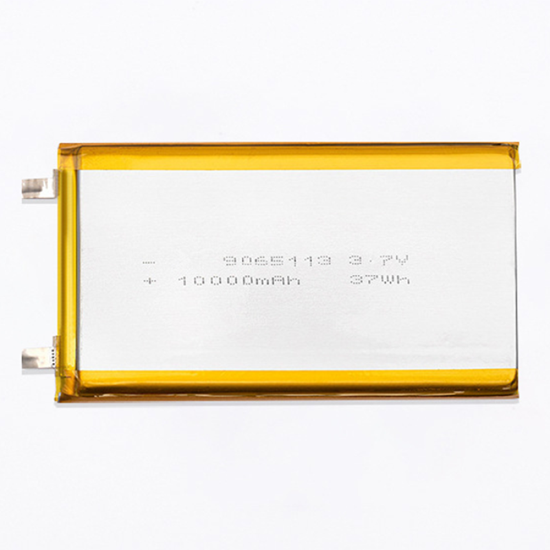 Polymer Battery Supplier - OEM 9065113 10000mAh Smart Lock