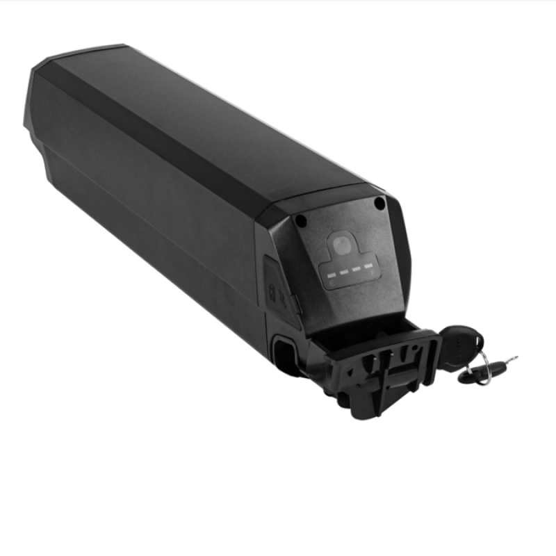 E-bike Battery Factory - OEM 48V 20Ah 1200-Cycle Lithium