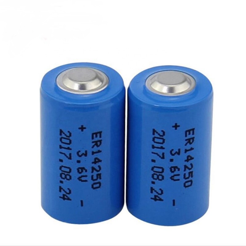 Watch Battery Manufacturer - OEM ER14250 3.6V 1200mAh