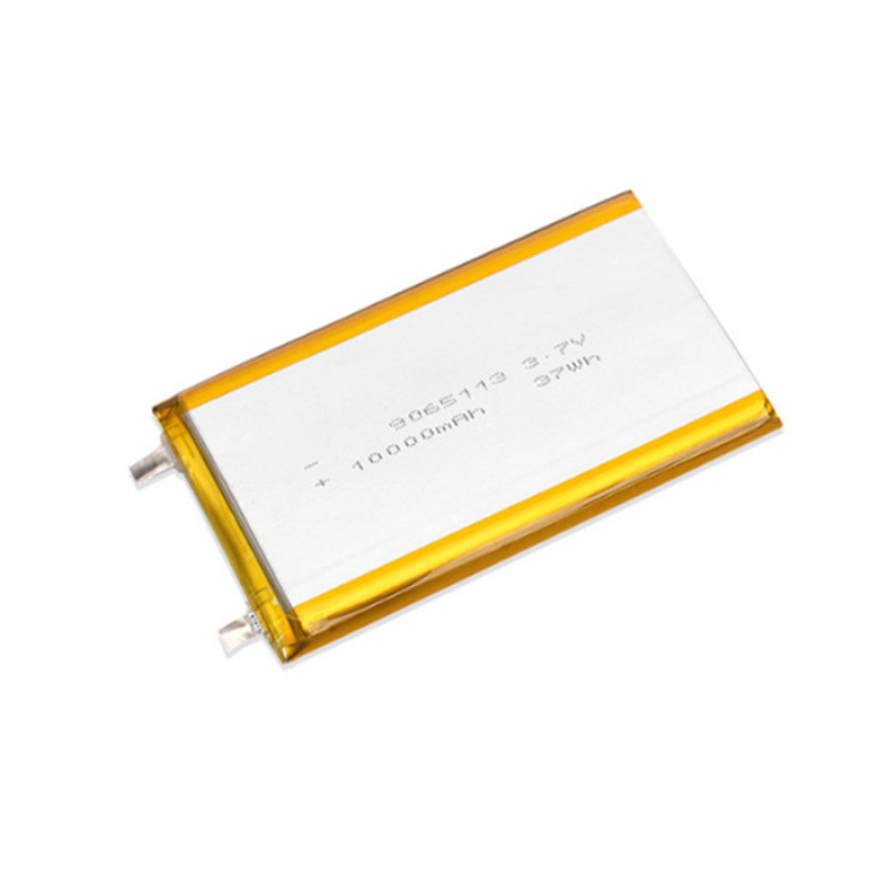 Polymer Battery Supplier - OEM 9065113 10000mAh Smart Lock