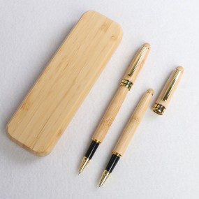 Ballpoint Pen Factory - Plastic Point Custom