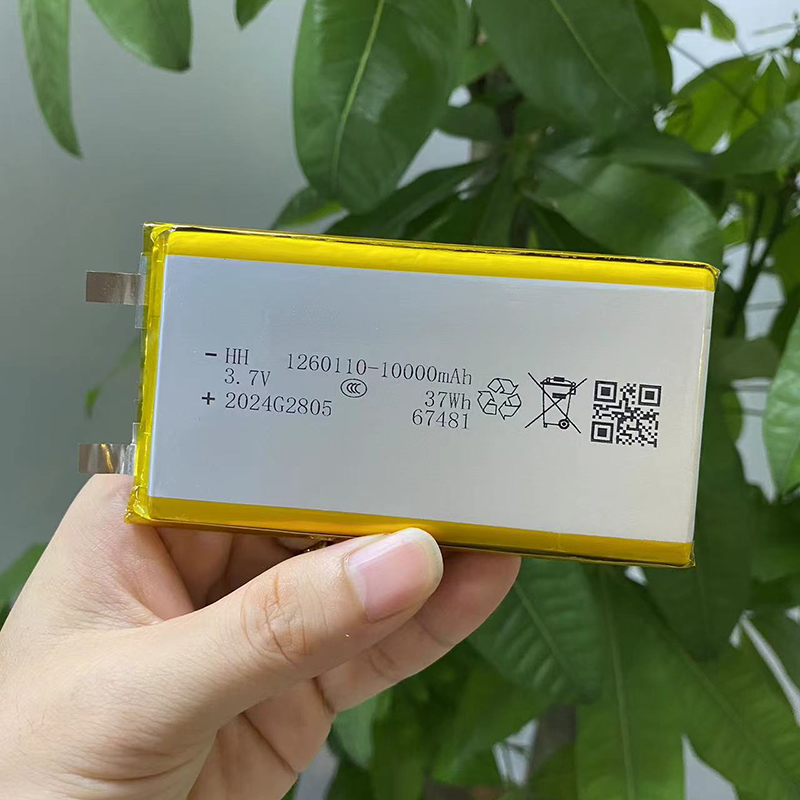 Polymer Battery Supplier - OEM 1260110 10000mAh Li-po