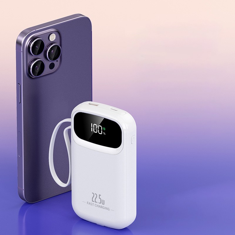 Power Bank Manufacturer - OEM Custom Logo 20000mAh Fast Charging