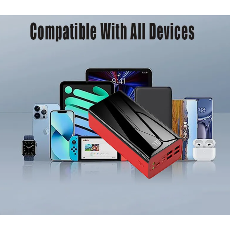 Power Bank Manufacturer - OEM 50000mAh Dual LED Travel Charger