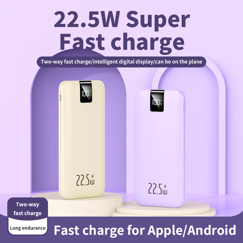 Power Bank Manufacturer - OEM 10000mAh Dual USB Portable Charger