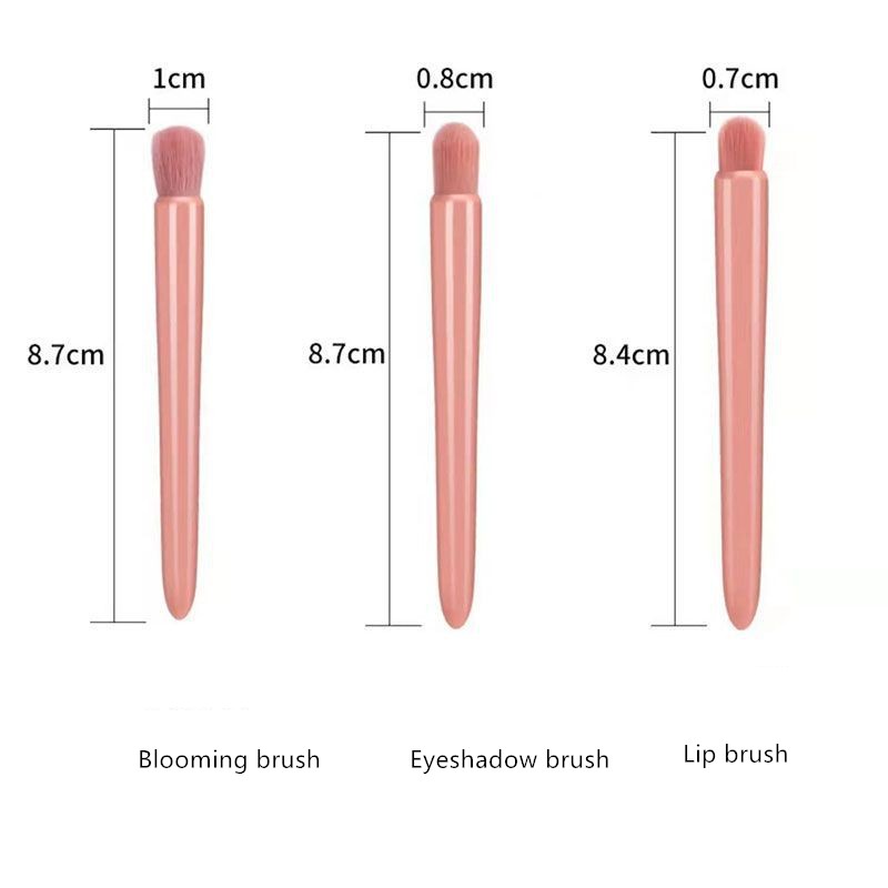 Portable Travel Makeup Brush 5pcs Individual Loose Powder Eyeshadow Lip Foundation Makeup Brushes Set with Mirror case for Face