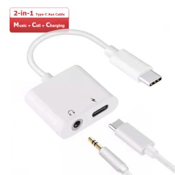 Audio Cable Manufacturer - 2-in-1 Type C Aux 10W