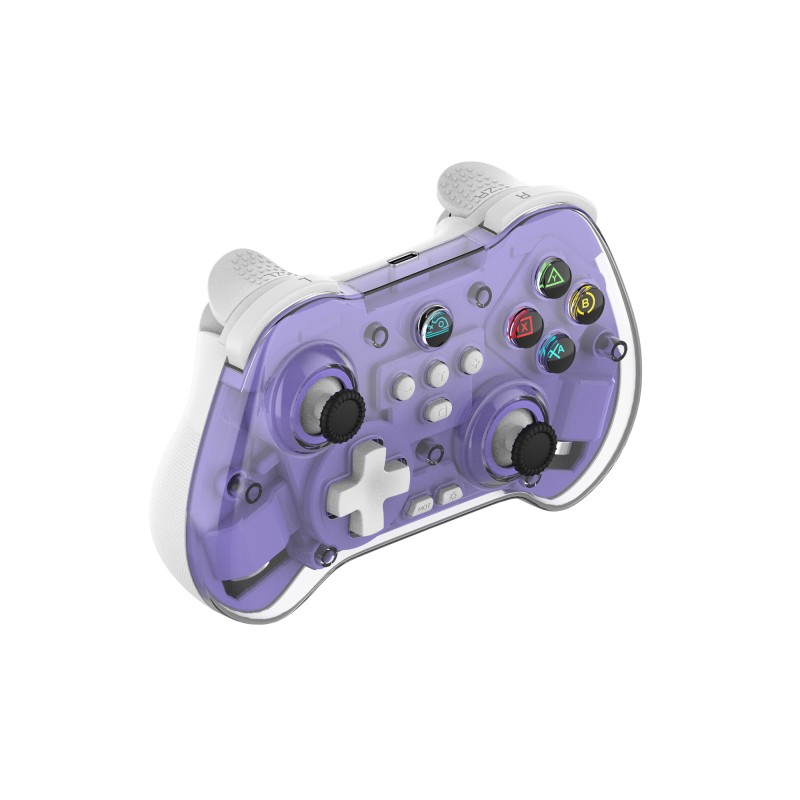 Game Controller Manufacturer - Transparent Housing Wireless Controller