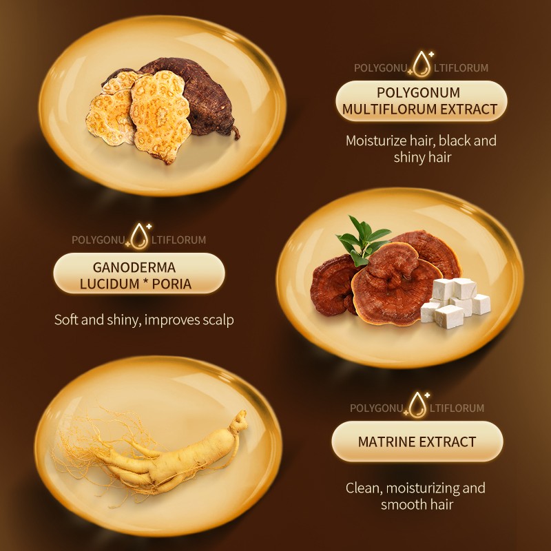 OEM ODM 500ml Polygonum Multiflorum Herbal Shampoo Nourishing Smoothing Anti-Dandruff Solution for Stronger Hair Roots