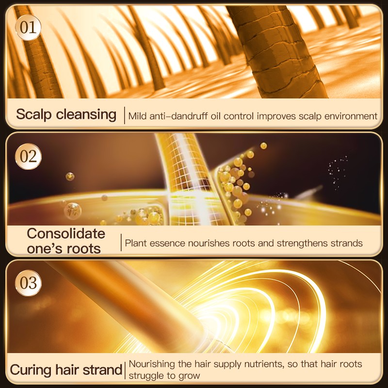 OEM ODM 500ml Polygonum Multiflorum Herbal Shampoo Nourishing Smoothing Anti-Dandruff Solution for Stronger Hair Roots