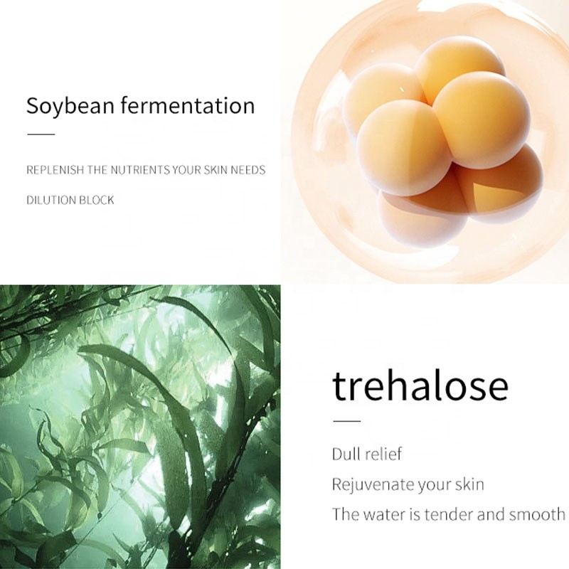 Private Label Carnosine Skin Care Anti-Aging Skincare Routine Korean Red Ginseng Essential Nourishing Facial Care