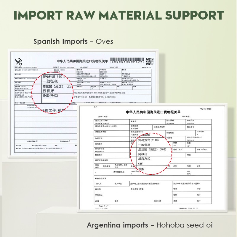 OEM Custom 6-Piece Bath Care Set Natural Organic Olive Oil Infused Dandruff Control Shampoo Nourishing Hair Mask Fragrant Shower