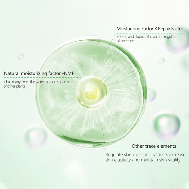 99% Aloe Vera Gel Natural Hydrating Moisturizer for Face Body Scalp & Hair Sun Relief Soothing Gel for Skin Care