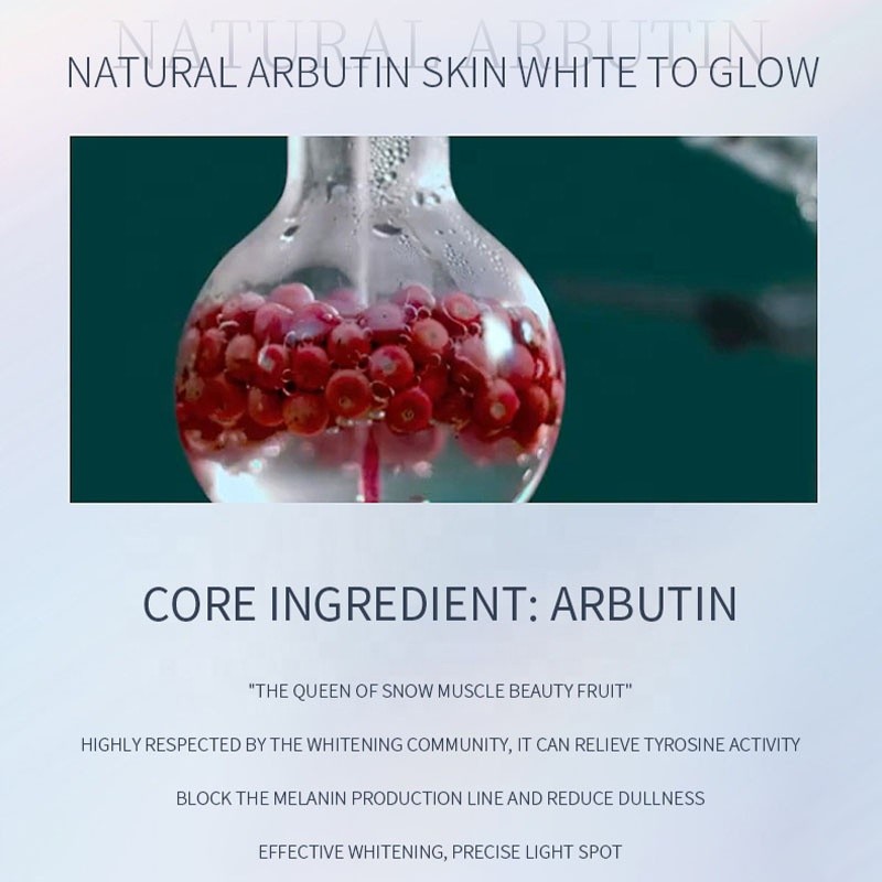 OEM Customizable 5 Pc Herbal Freckle Removing Kit Organic Natural Skin Whitening Face Care Set Arbutin Whitening Brightening