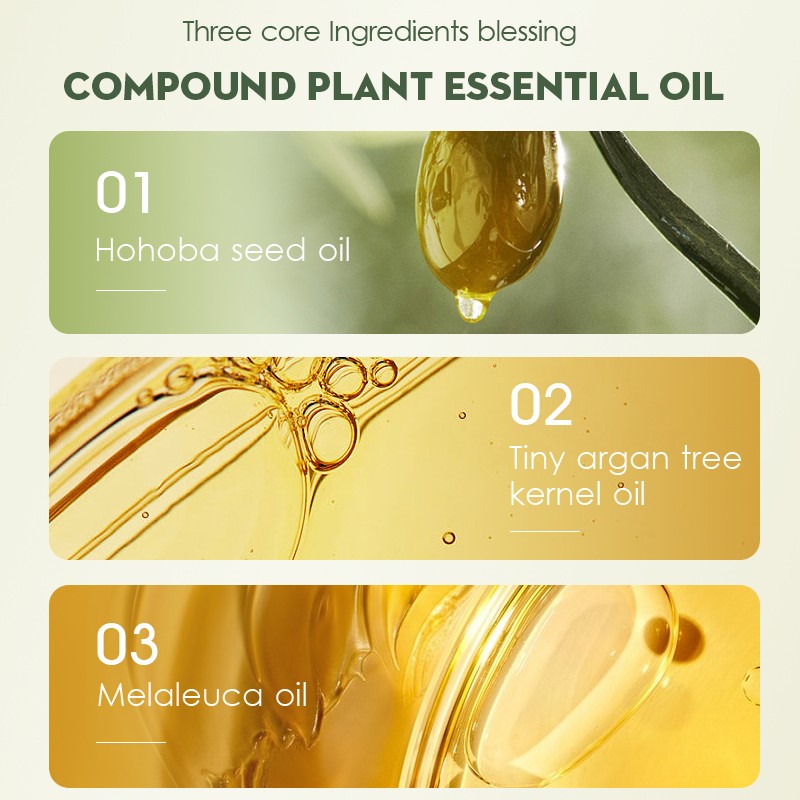 OEM Custom 6-Piece Bath Care Set Natural Organic Olive Oil Infused Dandruff Control Shampoo Nourishing Hair Mask Fragrant Shower