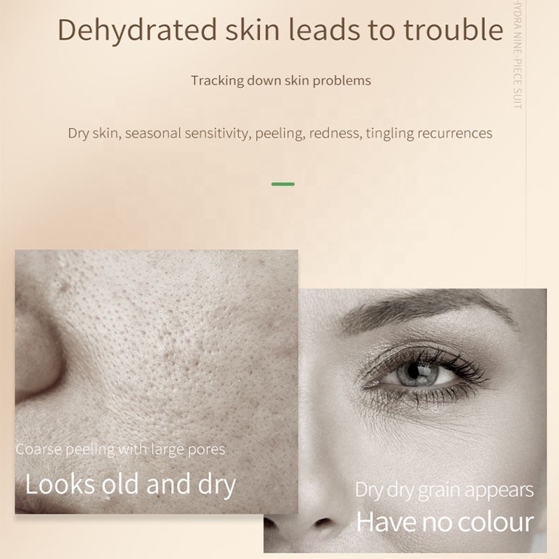 Wholesale 8-Piece Natural Herbal Skin Care Set Luxurious Calendula Face Cream Lotion Toner Serum Eye Cream Face Wash Boxed Kit