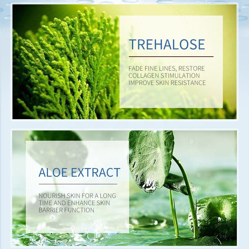 OEM Wholesale Polypeptide Time Glass Face Set Firming Anti-wrinkle Moisturize Autumn Winter Dipeptide Hexapeptide Skin Care Kit