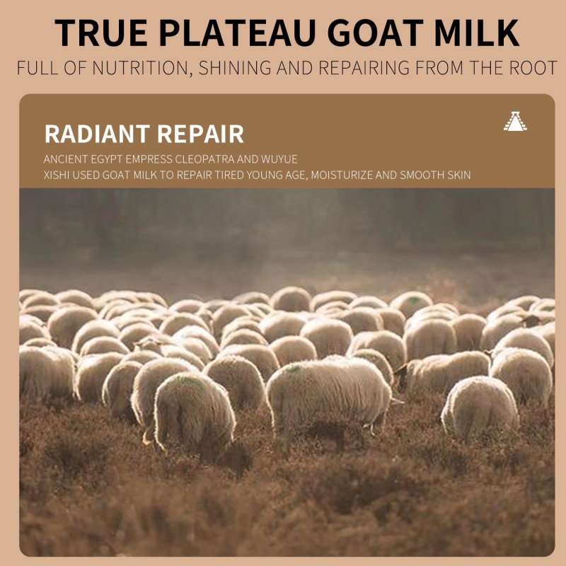 Private Label 2 PCS Goat Milk Enriched Herbal Face Toner Lotion Moisturizing Nourishing Skin Care Starter Ritual Herbal Face