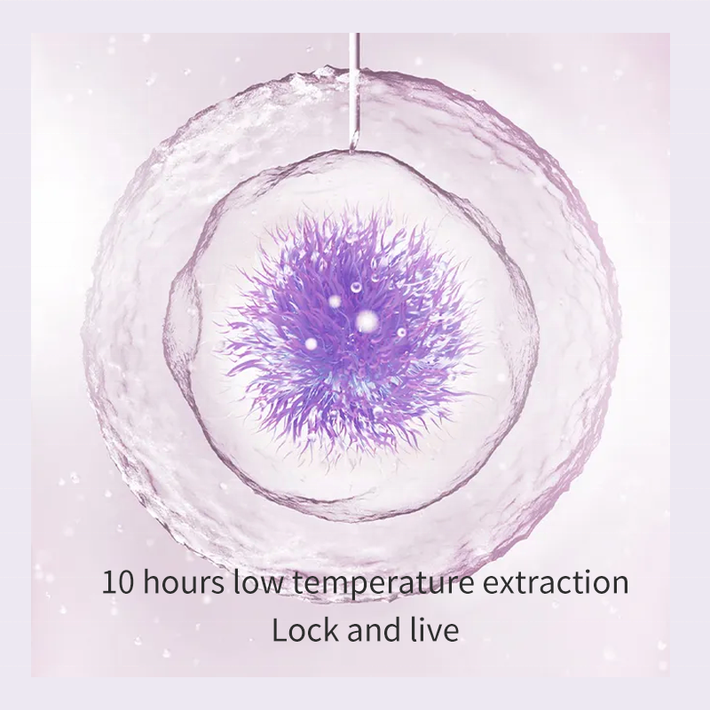 EIASER Luxury Hydration Nine-piece  Skincare  Water and Oil Balance Organic Skin Care Program Ultimate Face Care