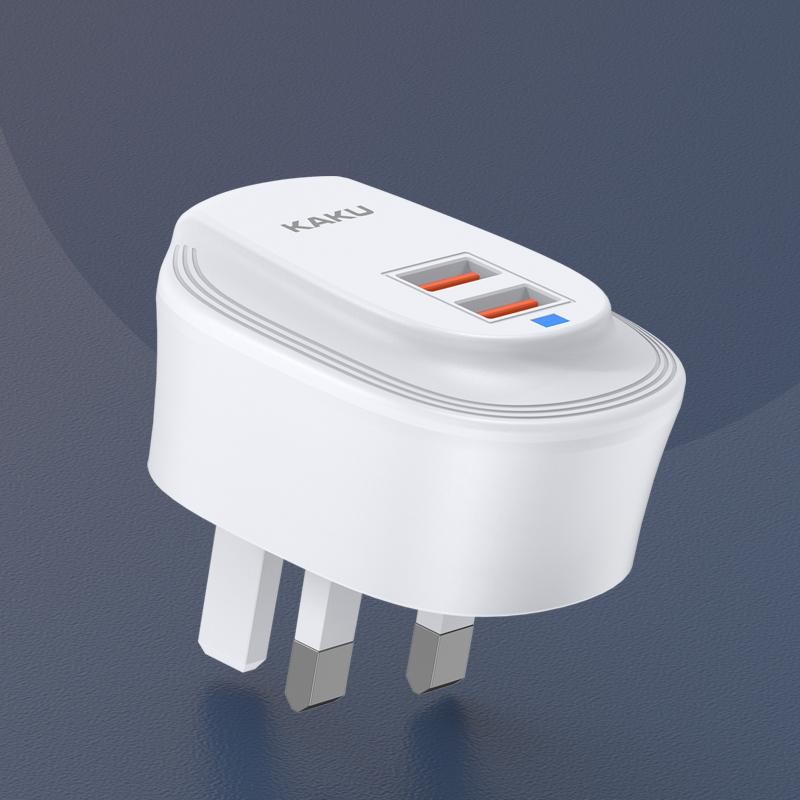 Wall Charger Manufacturer - OEM 2.4a EU Sockets Set