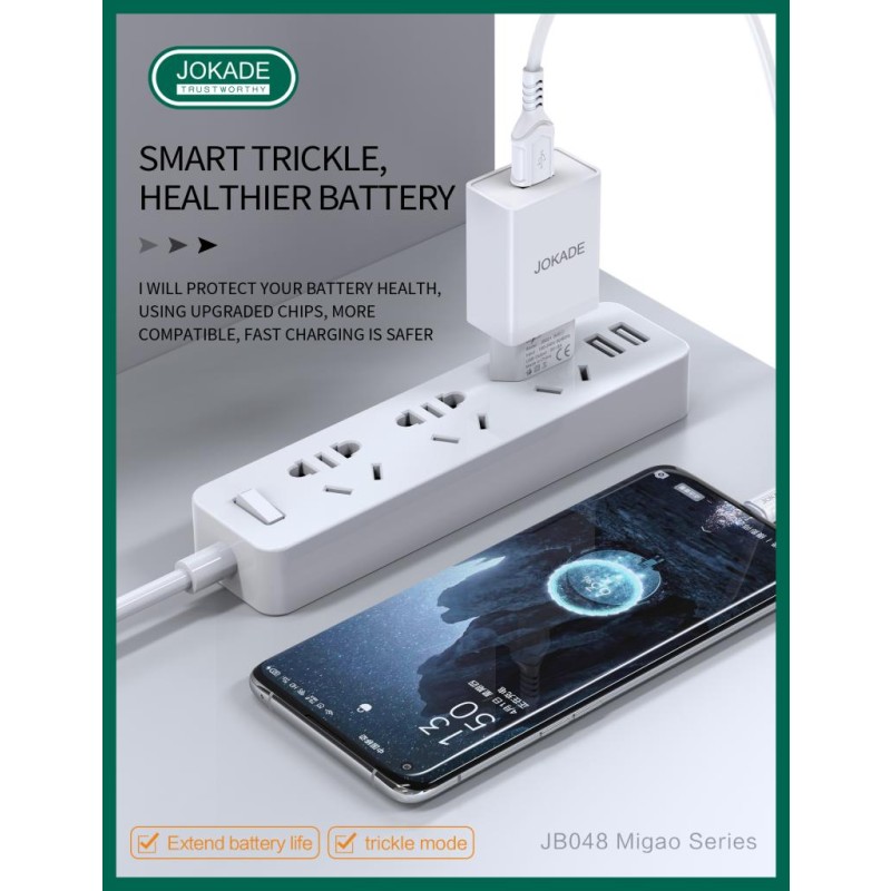 Smart Charger Manufacturer - OEM Single Port EU Portable