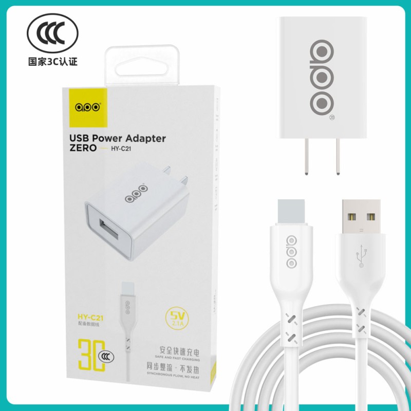 USB Charger Factory - Customized Logo 5V 2.1A Fast Charging Head