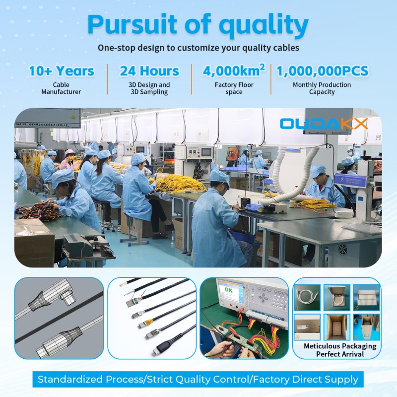 USB Cable Manufacturer - OEM 10Gbps 3.1 Type C 100W Fast