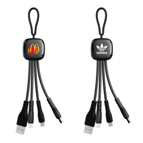 Charging Cable Factory - Luminous Braided 3 in 1 Keychain Cable