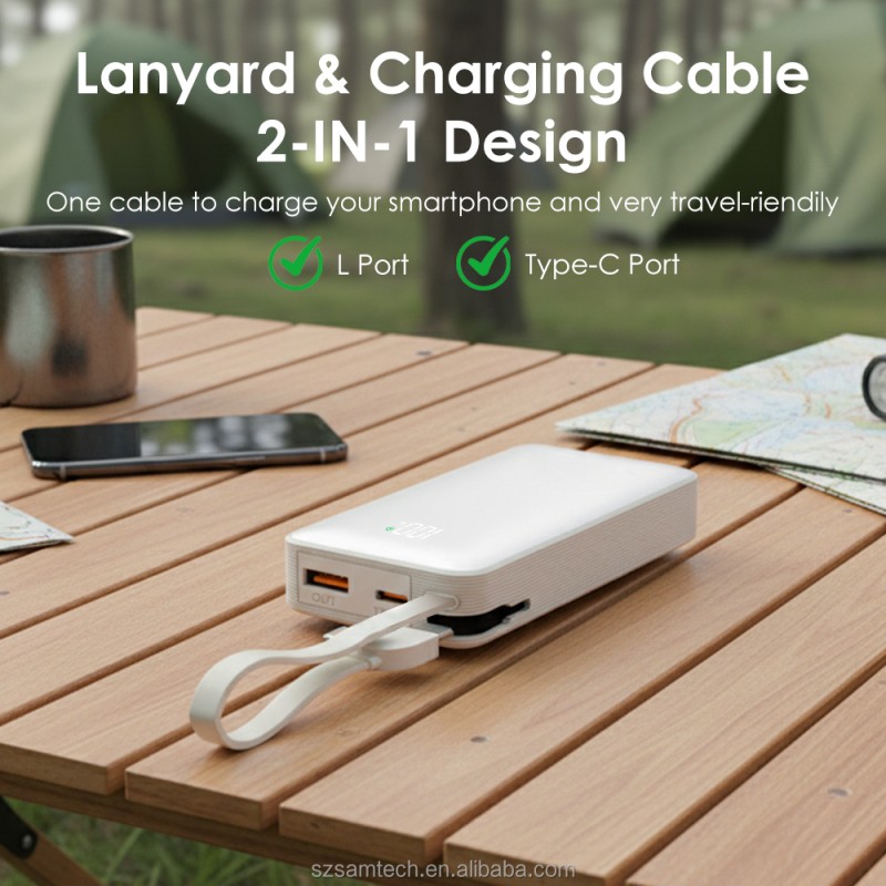 Portable Charger Manufacturer - 22.5W Built-in Cables 10000mAh