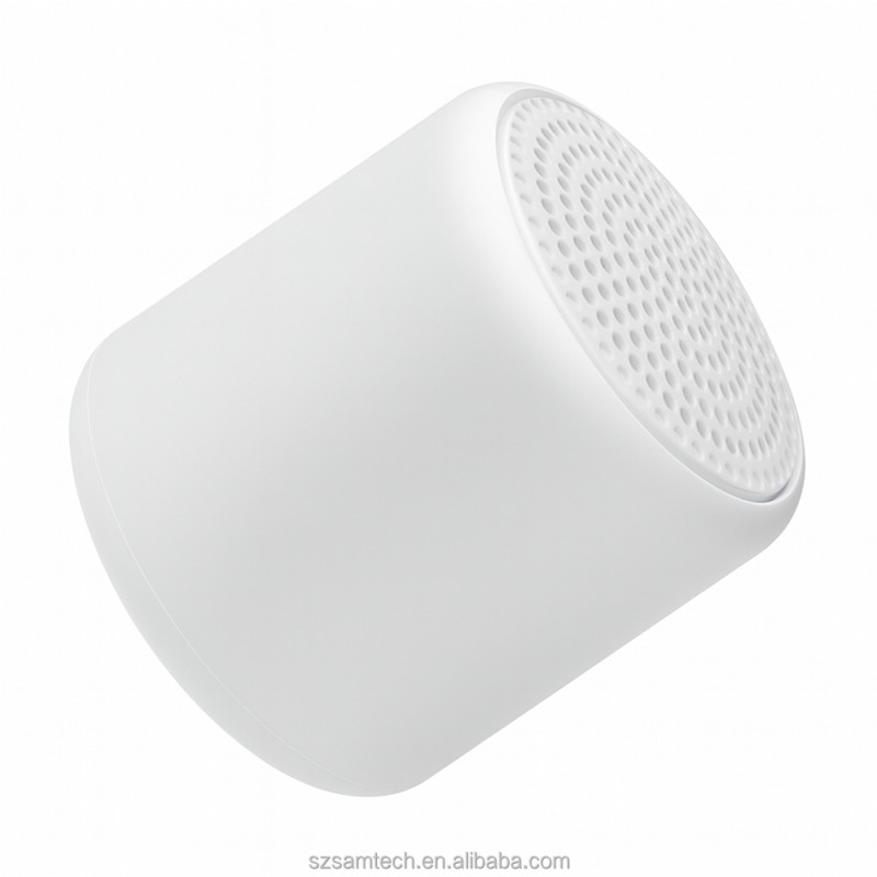 Portable Speaker Factory - TWS 360-degree Omnidirectional Sound