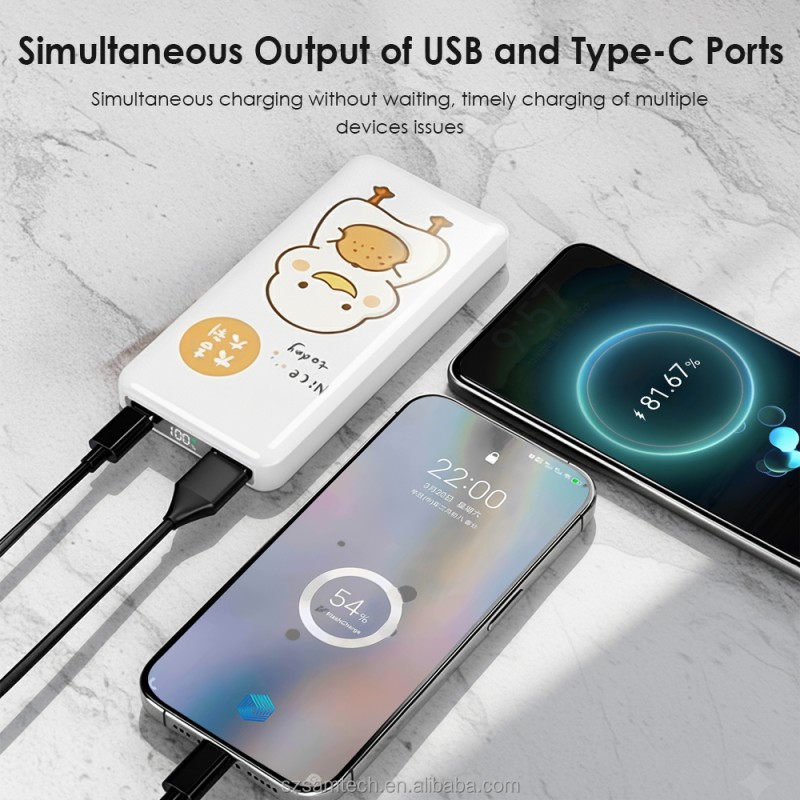 Power Bank Manufacturer - Custom Logo 10000mAh LED Display